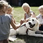 Forretning 2 billede DANHOSTEL Vandrerhjem i Frederiksberg C 84