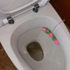 Forretning 8 billede RENDETALJE Personlig pleje & Service i Tilst 82