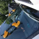 Forretning 1 billede RUDEFIX Bil, Båd & Motor i Kongens Lyngby 84