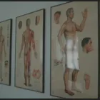 Forretning 8 billede ZONETERAPISKOLEN LOGOS i Århus C 82