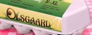 Forretning 3 billede DAMGRAPHICS Virksomhedsservice i København Nv 84