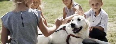 Forretning 2 billede DANHOSTEL Vandrerhjem i Frederiksberg C 84