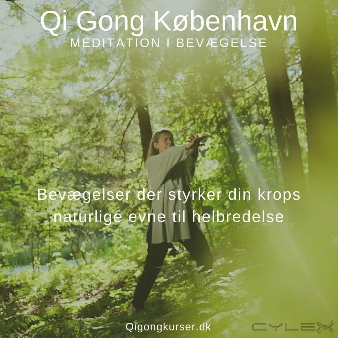 Forretning 3 billede QI GONG KØBENHAVN