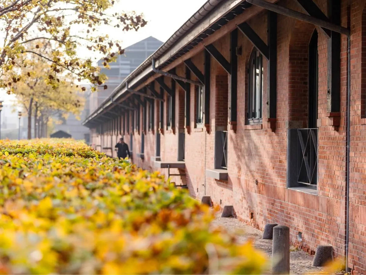 Forretning 4 billede NYHAVN REJSER