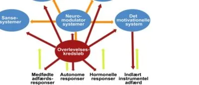 Forretning 5 billede IMPULSKONTROL.DK
