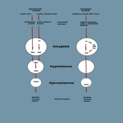 Forretning 1 billede IMPULSKONTROL.DK