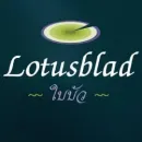 LOTUSBLAD Massage i Kolding 83
